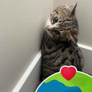 Meet your Posher, Suzanne